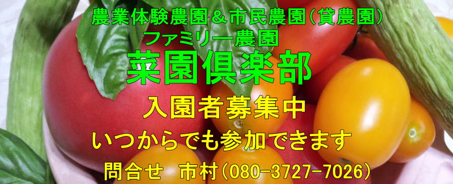 上尾市農業体験農園　菜園倶楽部　タイトルロゴ